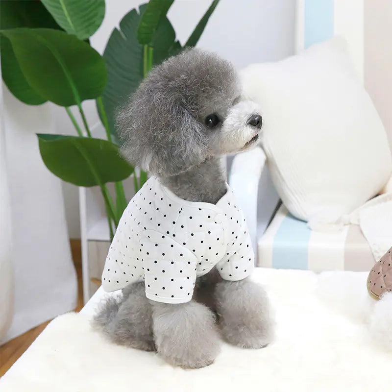 Pet Matcha Cotton Clothing for Two-legged Friends