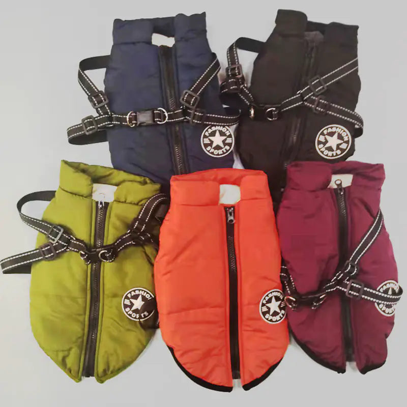 Creative Autumn and Winter Pet Clothing Collection