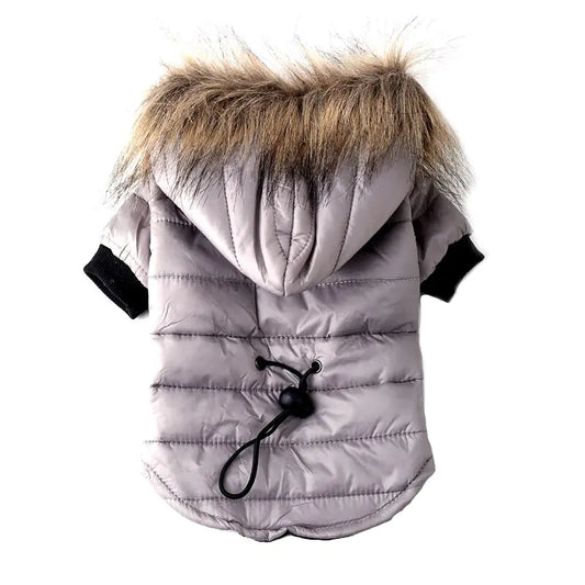 Autumn Winter Teddy Pet Sweater Clothing