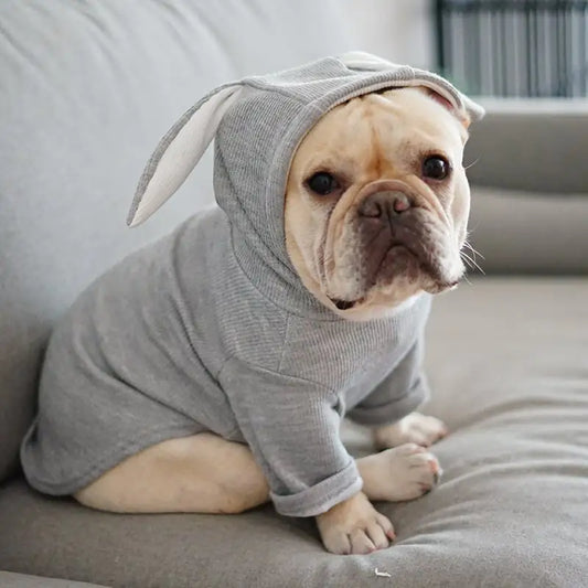 Dog Pet Spring and Autumn Clothing Outfit